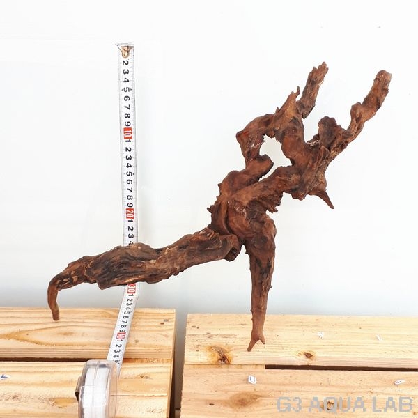 No,39 ADAホーンウッド風流木 Lサイズ約20〜50cm