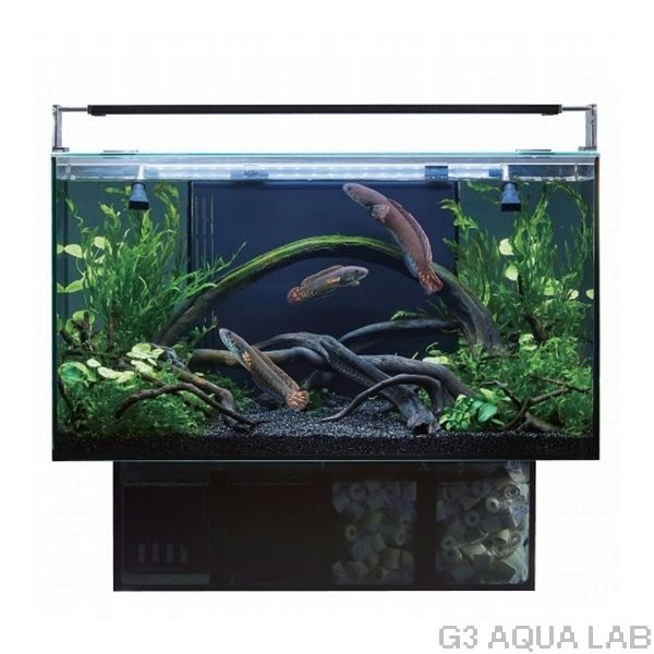 GEX�����饹�ƥꥢAGS OF-450���֥�å���[4972547036261]