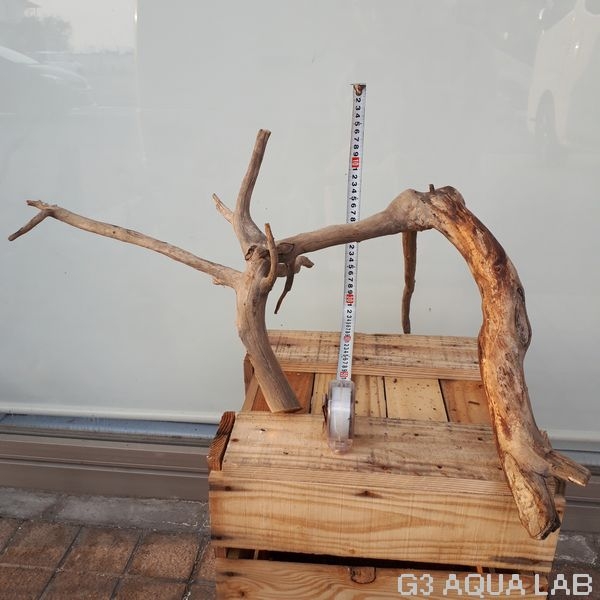 No,27 ADAホーンウッド風流木 XLサイズ 約40〜80cm