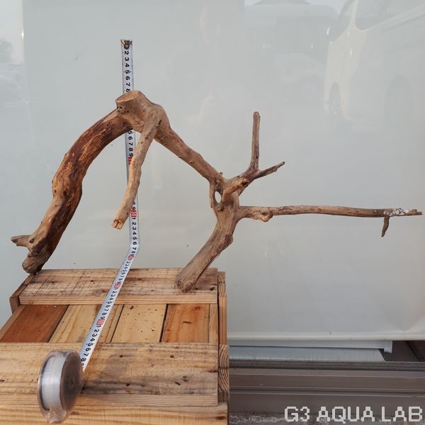 No,27 ADAホーンウッド風流木 XLサイズ 約40〜80cm