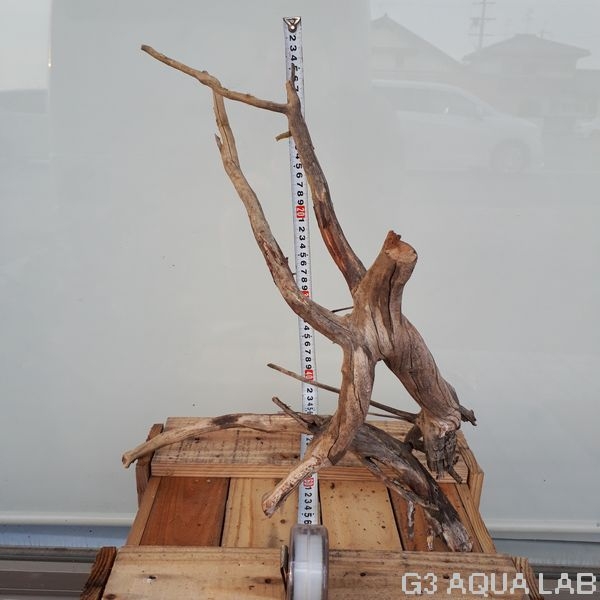 No,28 ADAホーンウッド風流木 XLサイズ 約40〜80cm