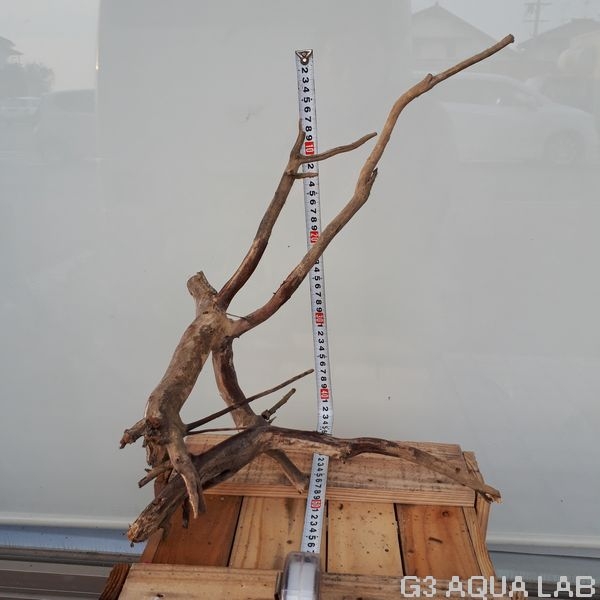 No,28 ADAホーンウッド風流木 XLサイズ 約40〜80cm