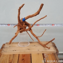 No,36��ADA�֥������å���ή�ڡ���������20��50cm