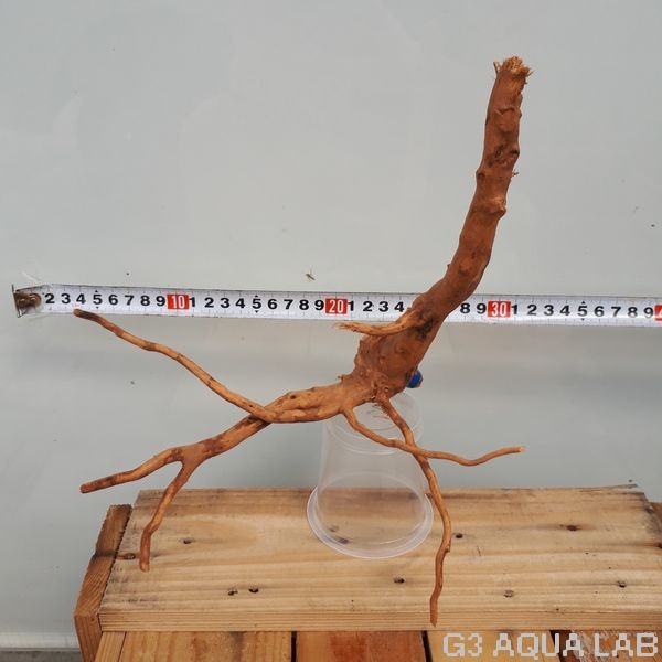 No,39 ADAブランチウッド風流木 サイズ約20〜50cm