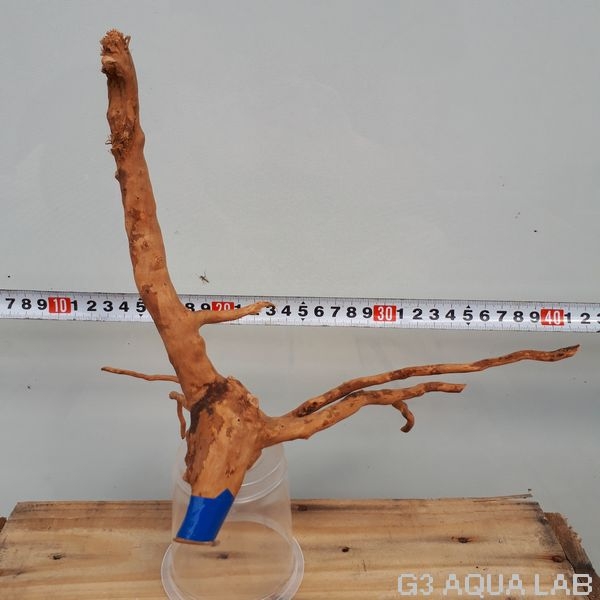 No,39 ADAブランチウッド風流木 サイズ約20〜50cm
