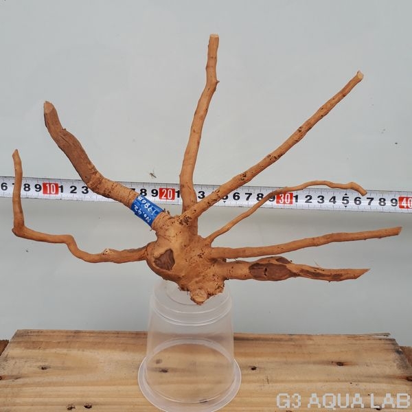 No,42 ADAブランチウッド風流木 サイズ約20〜50cm