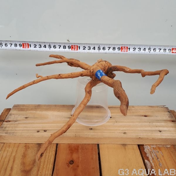 No,42 ADAブランチウッド風流木 サイズ約20〜50cm