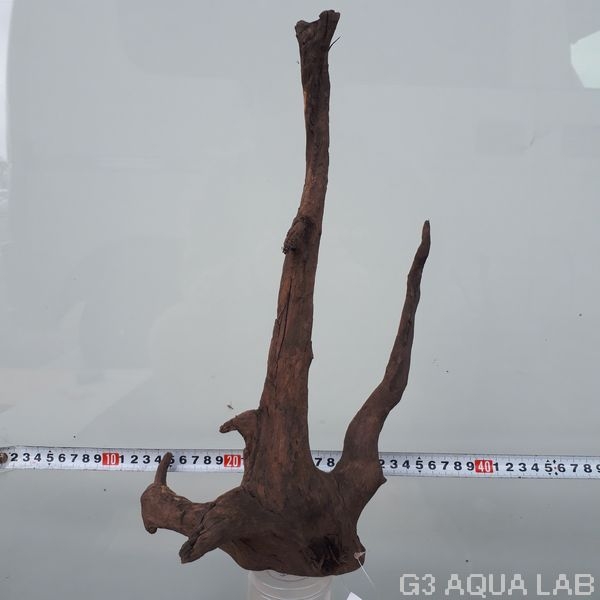 No,95�����ͥ��ߥե����֥�å��ۡ���ή�ڡ�S������