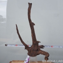 No,95�����ͥ��ߥե����֥�å��ۡ���ή�ڡ�S������