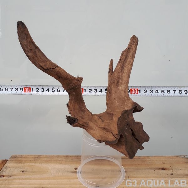 No,97 ソネケミファ ブラックホーン流木 Sサイズ