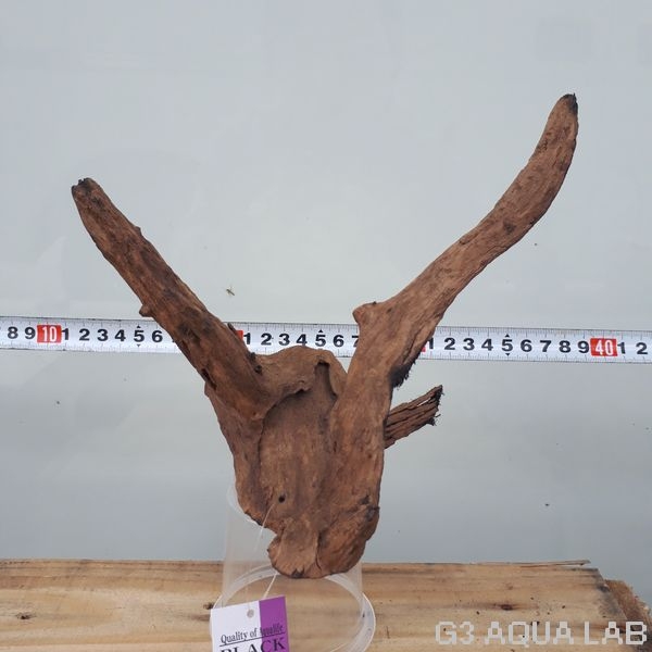 No,97 ソネケミファ ブラックホーン流木 Sサイズ