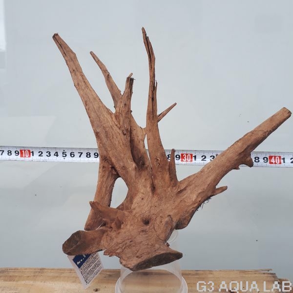 No,106�����ͥ��ߥե����֥�å��ۡ���ή�ڡ�S������