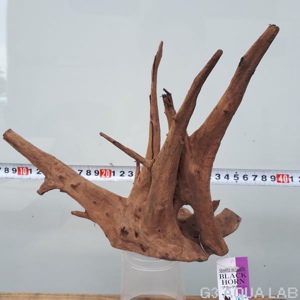 No,106�����ͥ��ߥե����֥�å��ۡ���ή�ڡ�S������