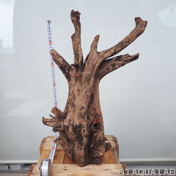 No,02�����ͥ��ߥե����֥�å��ۡ���ή�ڡ�XXL������