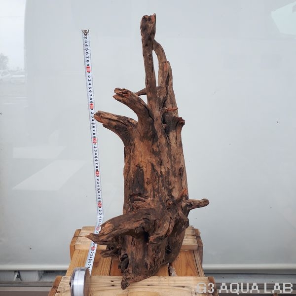 No,02 ソネケミファ ブラックホーン流木 XXLサイズ