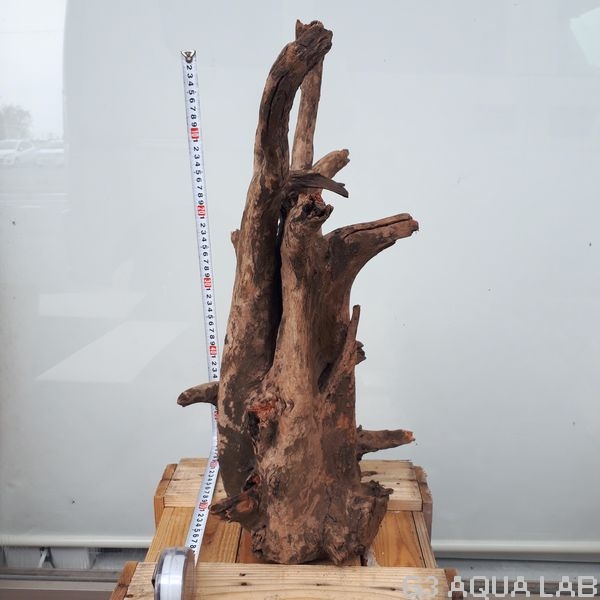 No,02�����ͥ��ߥե����֥�å��ۡ���ή�ڡ�XXL������