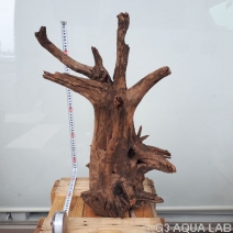 No,02�����ͥ��ߥե����֥�å��ۡ���ή�ڡ�XXL������