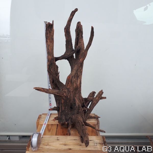 No,03 ソネケミファ ブラックホーン流木 XXLサイズ