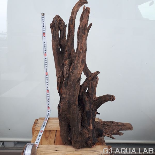 No,03 ソネケミファ ブラックホーン流木 XXLサイズ