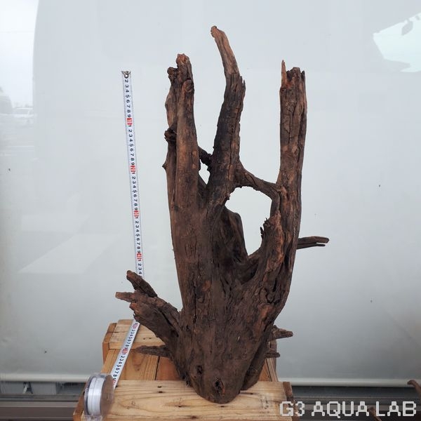 No,03�����ͥ��ߥե����֥�å��ۡ���ή�ڡ�XXL������