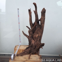 No,03�����ͥ��ߥե����֥�å��ۡ���ή�ڡ�XXL������