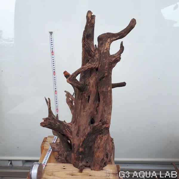 No,04�����ͥ��ߥե����֥�å��ۡ���ή�ڡ�XXL������