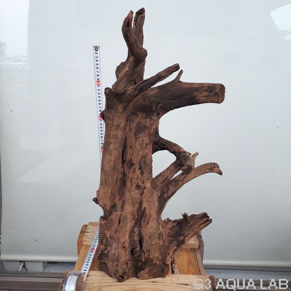 No,04�����ͥ��ߥե����֥�å��ۡ���ή�ڡ�XXL������