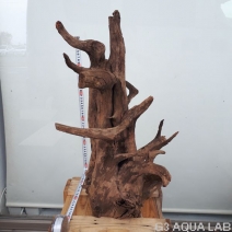 No,04�����ͥ��ߥե����֥�å��ۡ���ή�ڡ�XXL������