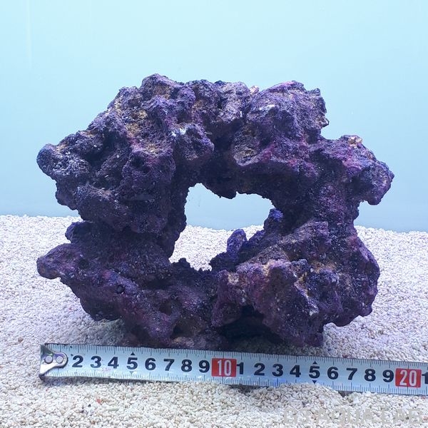 ����֥��� �饤�ե��å� �������ץ� �ꤢ������ 1��[4971664433700-1]