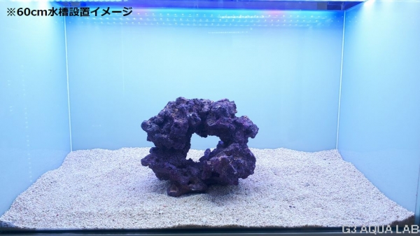 ����֥��� �饤�ե��å� �������ץ� �ꤢ������ 1��[4971664433700-1]