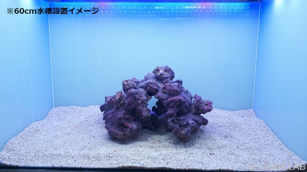 ����֥��� �饤�ե��å� �������ץ� �ꤢ������ 1��[4971664433700-2]