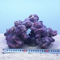 ����֥��� �饤�ե��å� �������ץ� �ꤢ������ 1��[4971664433700-2]