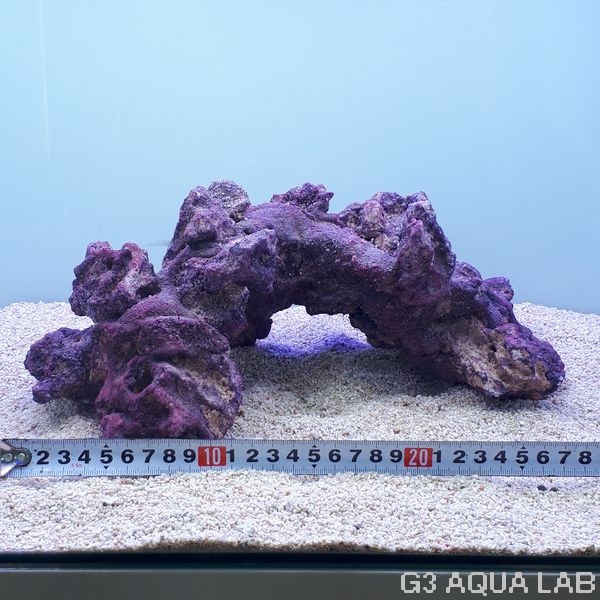 ����֥��� �饤�ե��å� ������ 1��[4971664433724-1]