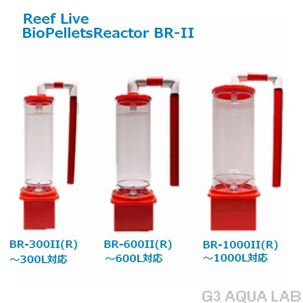¡Ú¼è¤ê´ó¤»¡ÛReef Live¡¡BR2-300¡¡ÀÖ¡¡¥Ð¥¤¥ª¥Ú¥ì¥Ã¥È¥ê¥¢¥¯¥¿¡¼