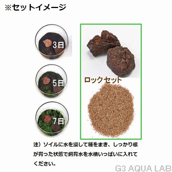 ニッソー 育てる水草の種 ストレートヘアー&ロック