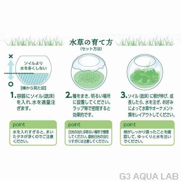 ニッソー 育てる水草の種 ストレートヘアー&ロック