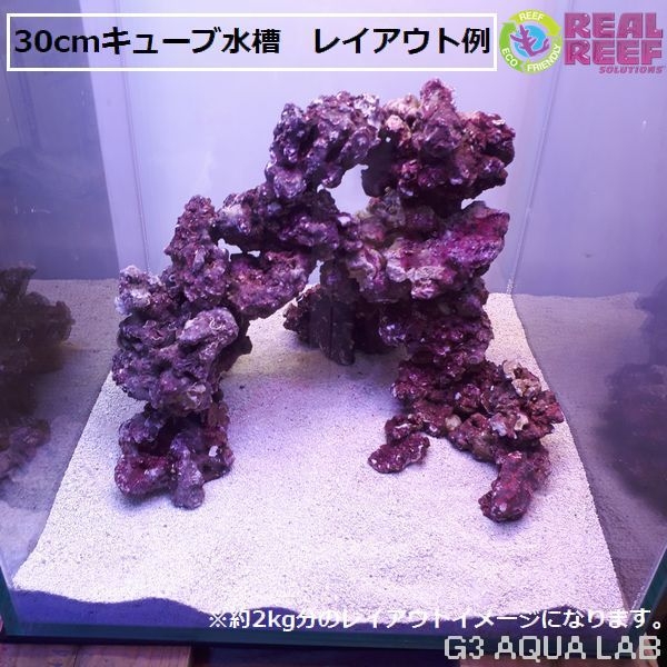 �͹��饤�֥��å� Real Reef Rock Nano ��2kg