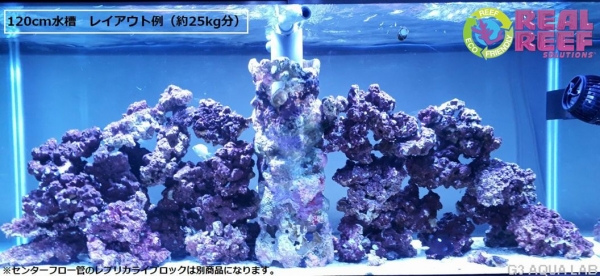 人工ライブロック Real Reef Rock SMサイズ 約5kg