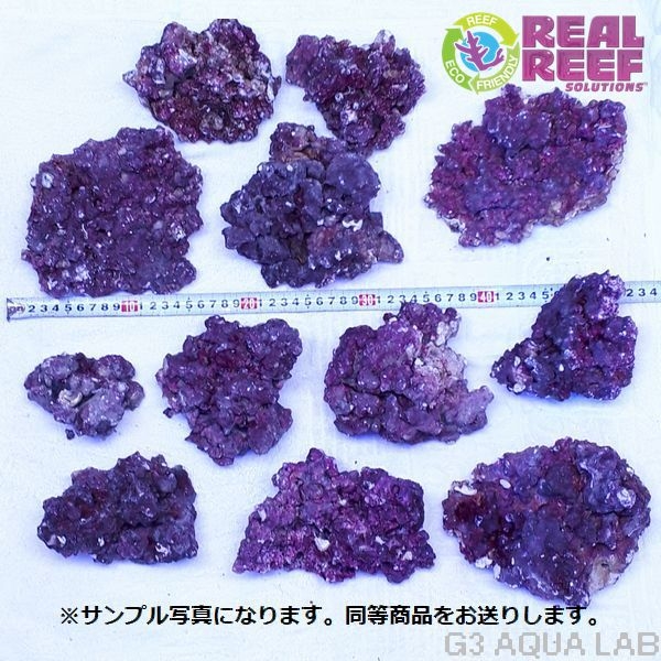 人工ライブロック Real Reef Rock S&Mサイズ 約7kg