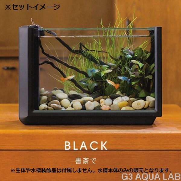 ���ȥ֥���Views���ӥ塼�����֥�å���[4972814170056]