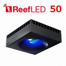 ��åɥ��� �꡼��LED ReefLED50��[7290100770702]