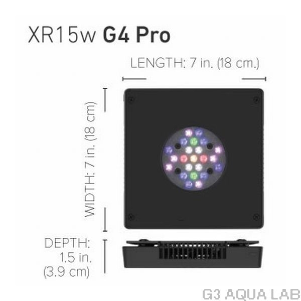 �ڼ��󤻡ۥ����ƥå��ޥ�� Radion G4 PRO(XR15w)  [R-0223]
