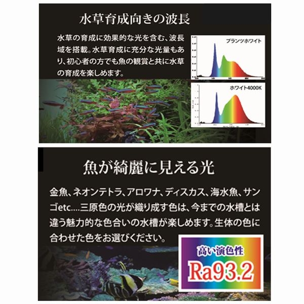 󥹥 ޥ顼LED 1200[4934743016447]