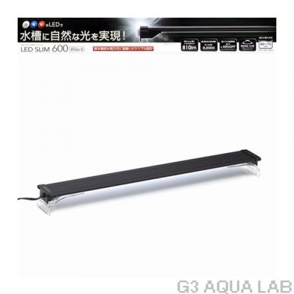 ���ȥ֥� �쥰�饹F-600SH/B S-LED�饤�ȥ��åȡ�[4972814013919]