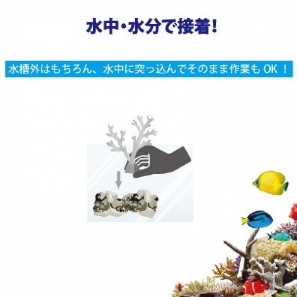 zoox ���ڥ���륳����륰�롼 4g��1�ܡ�[4540103090370]