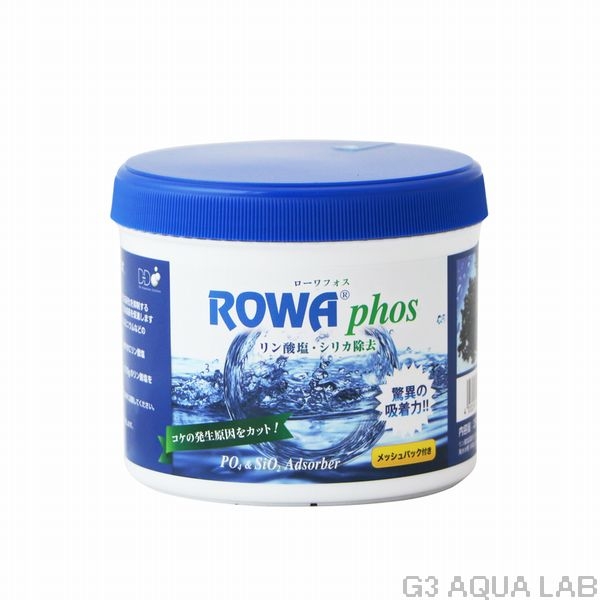 DD ������ե��� 100ml��[4032974404016]