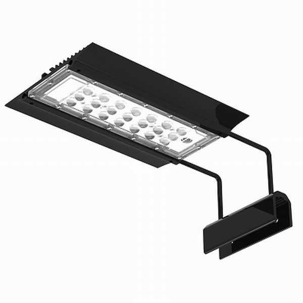 �ڼ��󤻡�NEMO LIGHT II��AM24�������ѡ�[4516641001390]