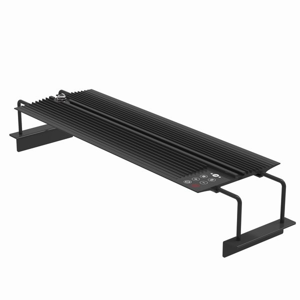 �ڼ��󤻡�NEMO LIGHT II��AF48��ø���ѡ�[4516641001406]