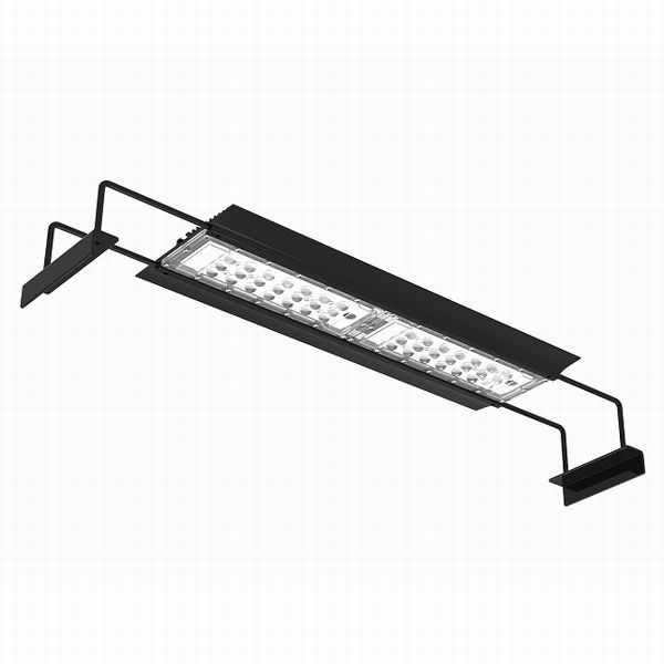 �ڼ��󤻡�NEMO LIGHT II��AF48��ø���ѡ�[4516641001406]