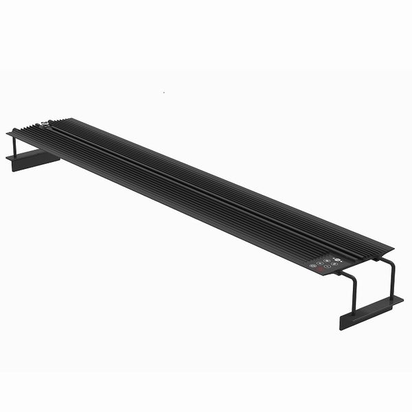 �ڼ��󤻡�NEMO LIGHT II��AF96��ø���ѡ�[4516641001420]